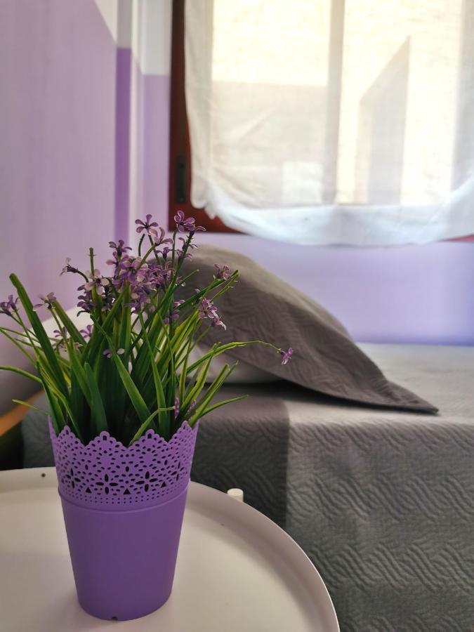 Apartmán Anais Dreams&Relax Corralejo Exteriér fotografie